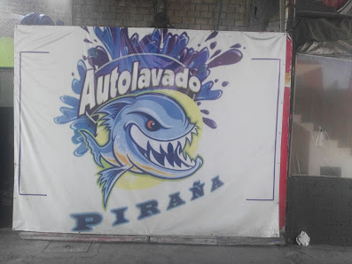 Autolavado Piraña